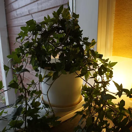 Kristinebergs Bed & Breakfast-3